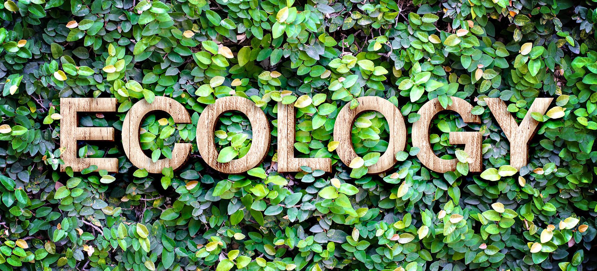 Ecologia